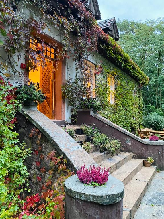a house with plants on the side of it at Zamkowa 4 in Lubniewice