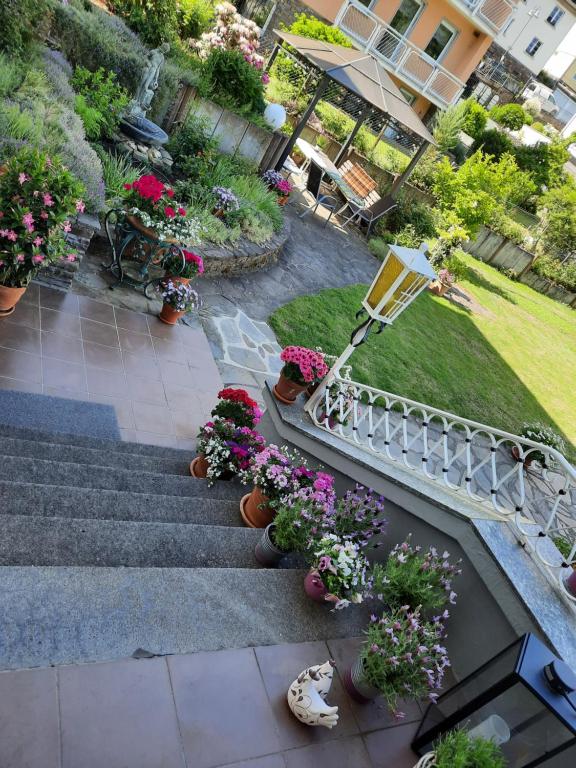 Zahrada ubytování Pension Schneider