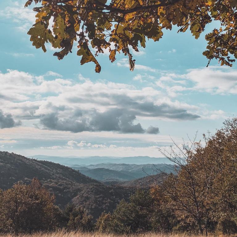 Príroda v okolí dovolenkového domu