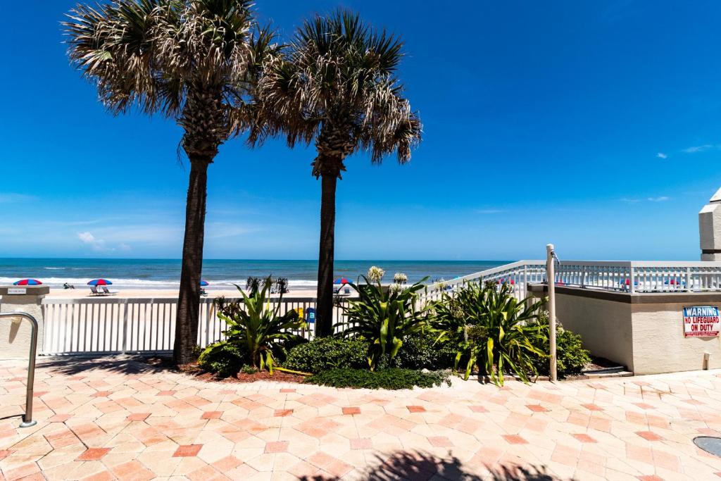 plaża z palmami i oceanem w tle w obiekcie Direct Oceanfront Condo with Kitchen w mieście Daytona Beach
