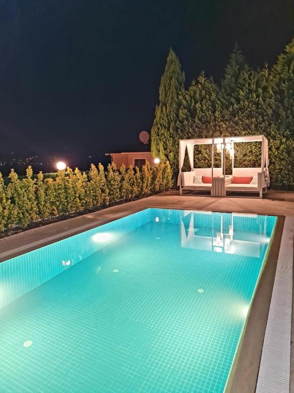 a swimming pool at night with a bed and a couch at Villaozil in Sapanca