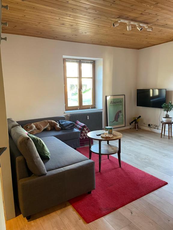 ein Wohnzimmer mit einem Sofa und einem Tisch in der Unterkunft Le Hohwald centre appartement 2 pièces # 102 in Le Hohwald