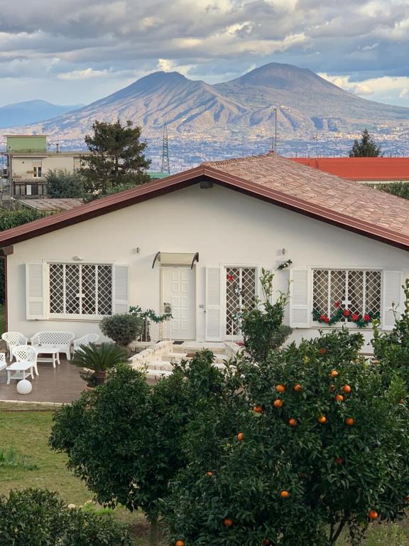 Príroda v okolí of the bed and breakfast