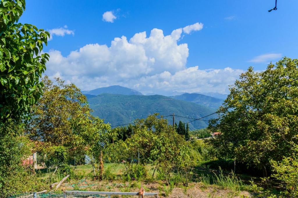 vistas a las montañas desde una colina con árboles en Σπίτι στο Τείχιο με θέα Βαρδούσια και Γκιώνα, en Tíkhion