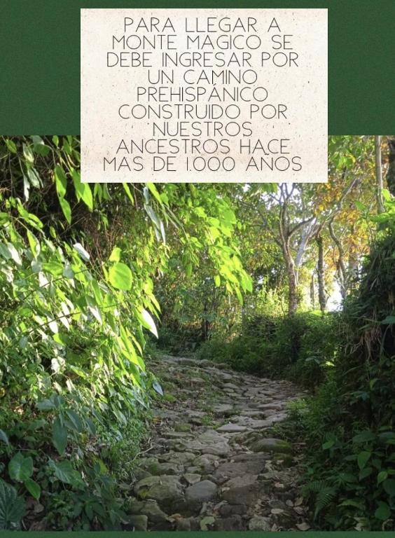 Monte Mágico