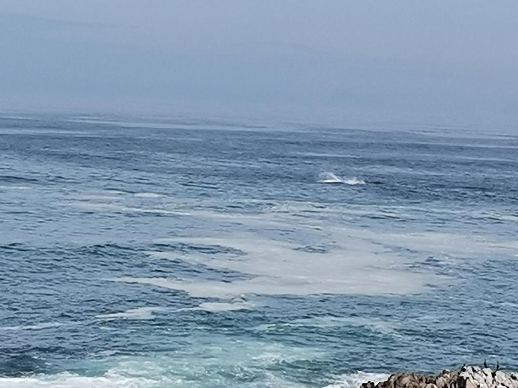 a person riding a wave in the ocean at On the Rocks Guesthouse in Gansbaai