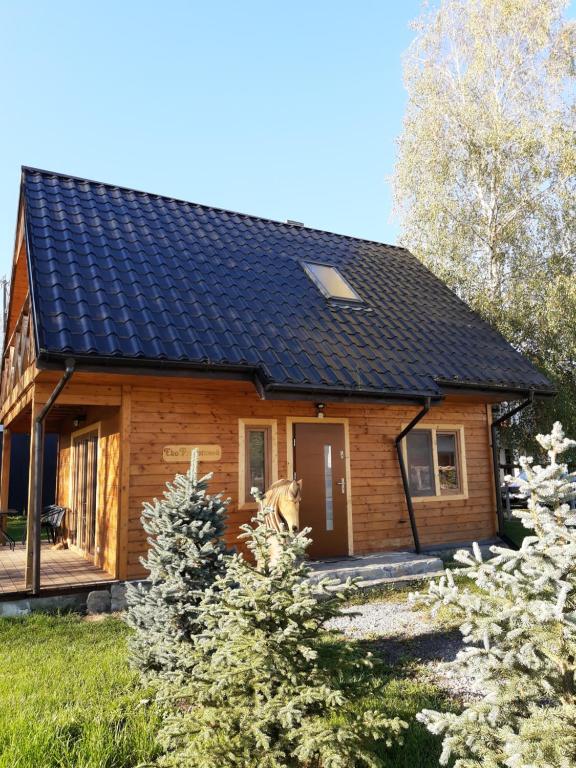 a log cabin with a black roof at Eko Przystanek in Kępie Żaleszańskie