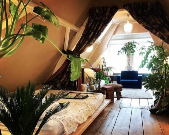 una sala de estar con una cama y plantas. en Bookstor Hotel en La Haya