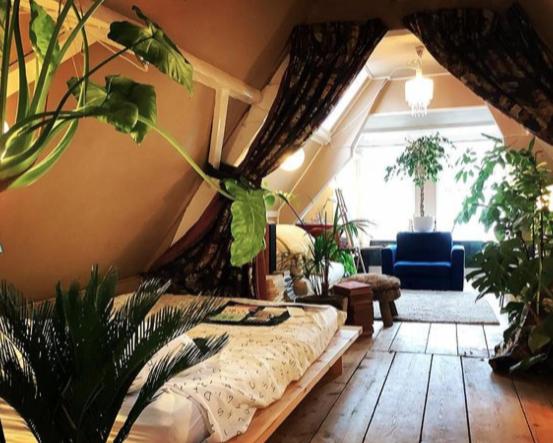 a living room with a bed and plants in it at Bookstor Atelier in The Hague