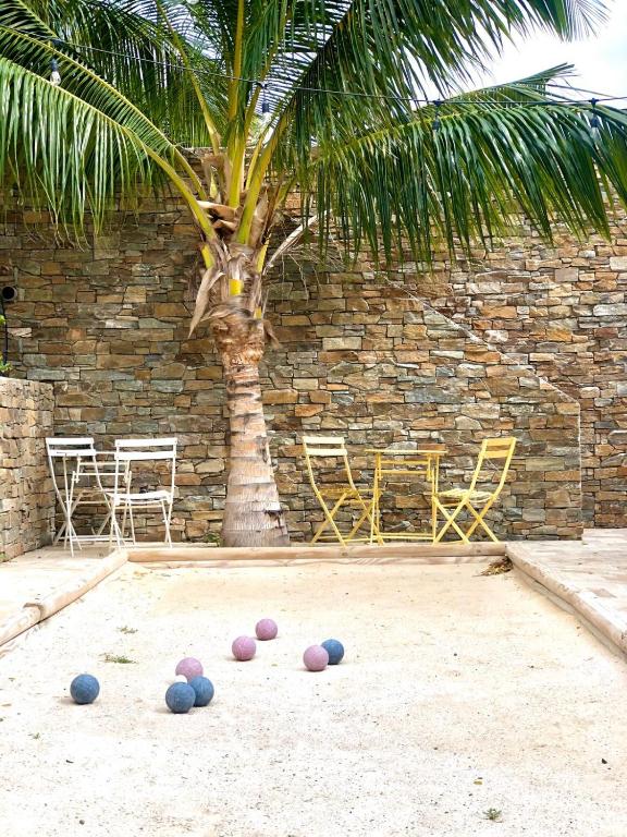 Fotografie z fotogalerie ubytování Bed & Bike Curacao - Jan Thiel v destinaci Willemstad