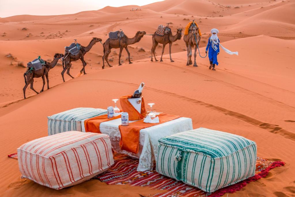 a group of camels walking in the desert at camp erg znaigui in Taouz