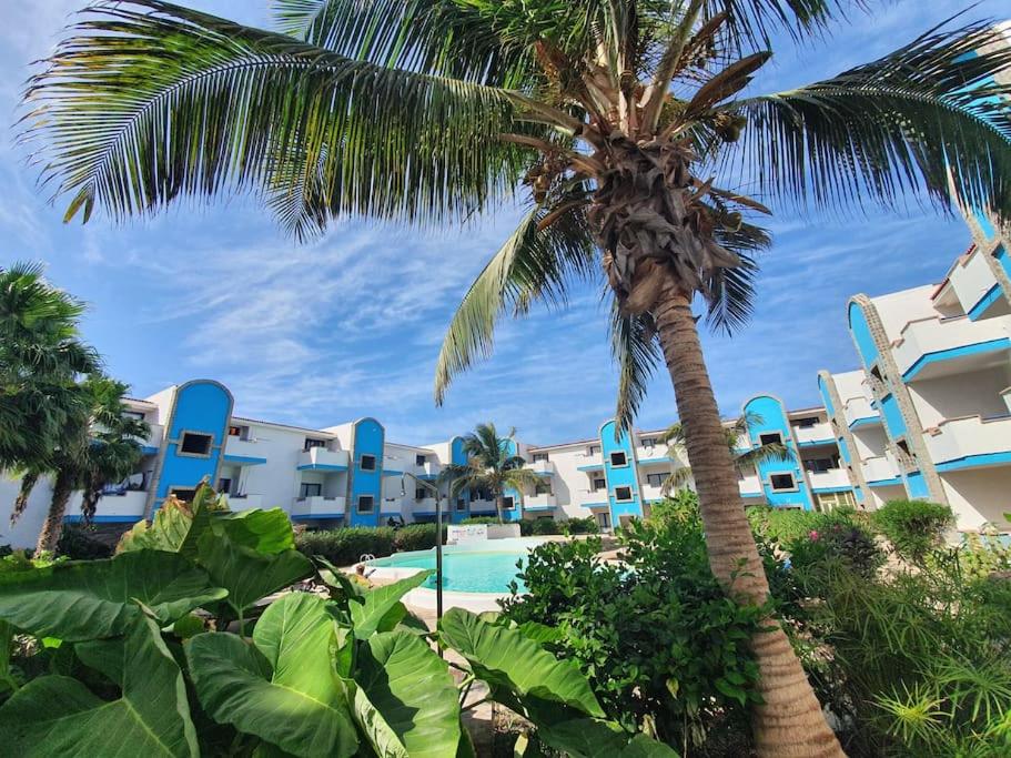 a resort with a palm tree and a swimming pool at Moradias Santa Maria in Santa Maria