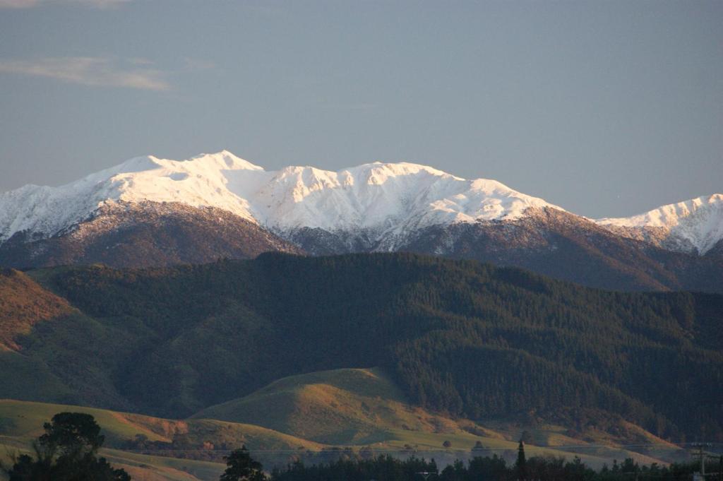 Luxury Container Cabin - Resim 16