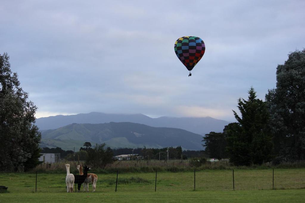 Luxury Container Cabin - Resim 15
