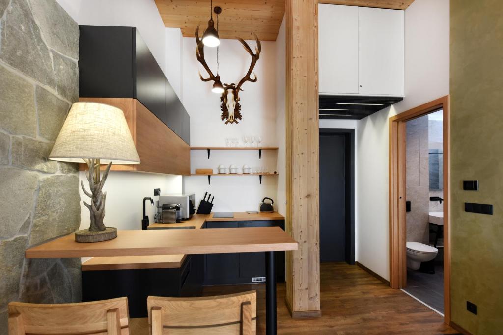 Kuchyň nebo kuchyňský kout v ubytování APLEND Hotel Ovruč
