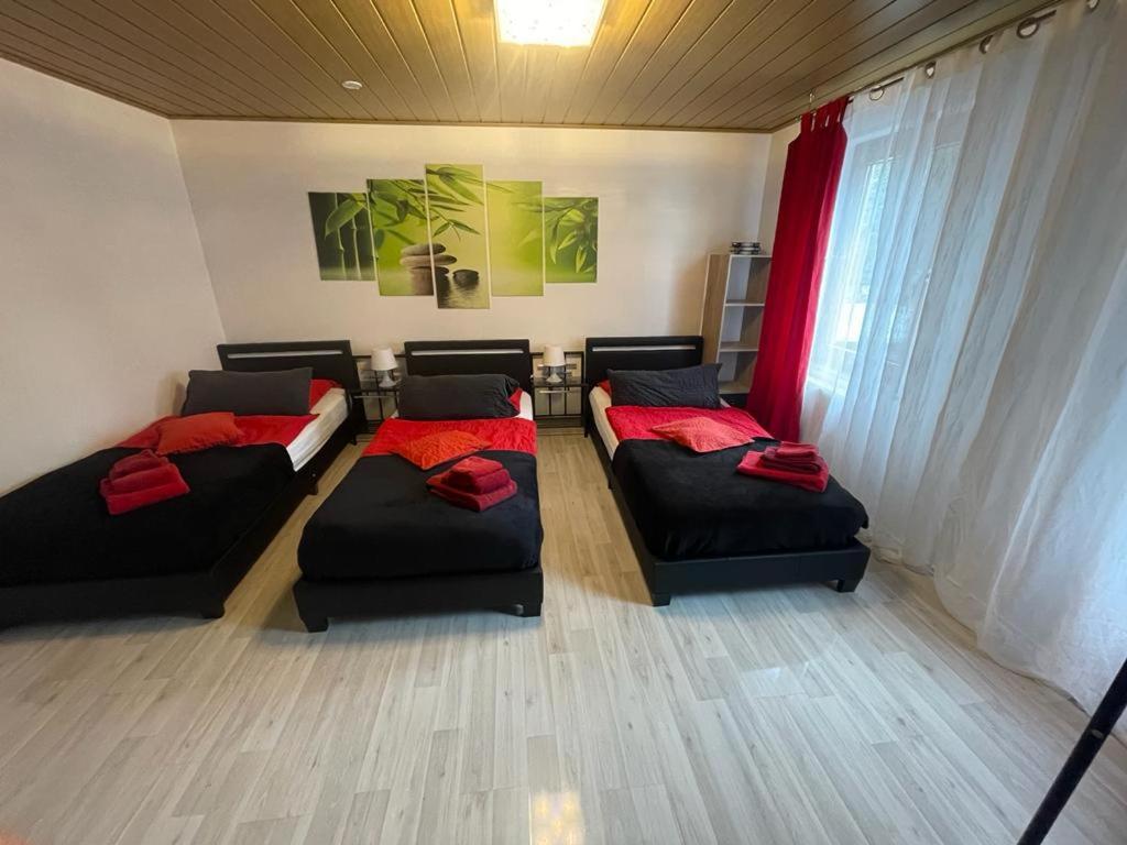 Ferienwohnungen Calwer Höfle - Appartement Met Terras