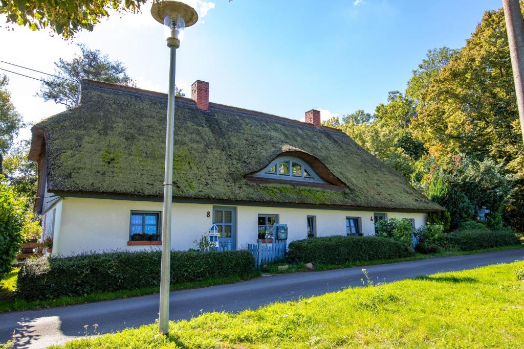 a cottage with a thatched roof on a street at Lütt Stuuv am Dorfanger in Barth