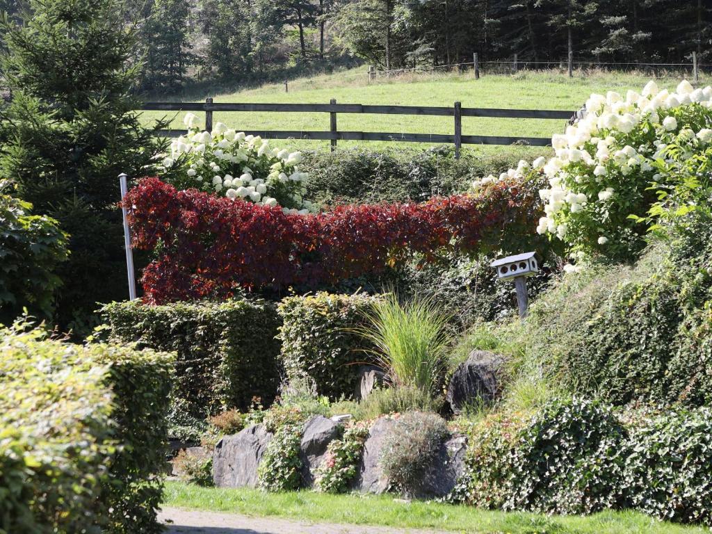 d'un jardin avec des fleurs colorées et une clôture. dans l'établissement Ferienwohnungen Familie Schauerte, à Schmallenberg