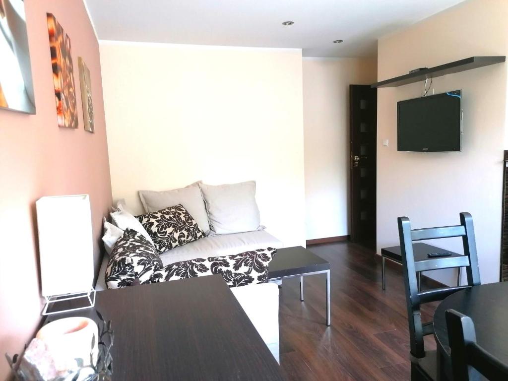 TV a/nebo společenská místnost v ubytování Apartament Coffee Zakopane