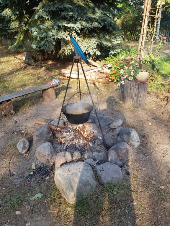 Vonkajšia záhrada v ubytovaní Domek "U Pszczelarza"