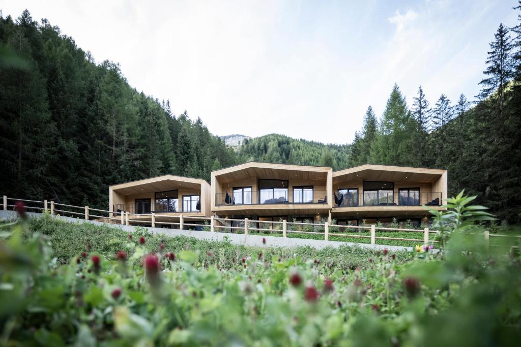 a house in the middle of a field with trees at Stelza Nature Chalet in Val di Vizze