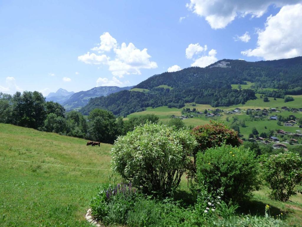 a green pasture with a horse in the distance at Appartement Megève, 4 pièces, 8 personnes - FR-1-597-22 in Megève