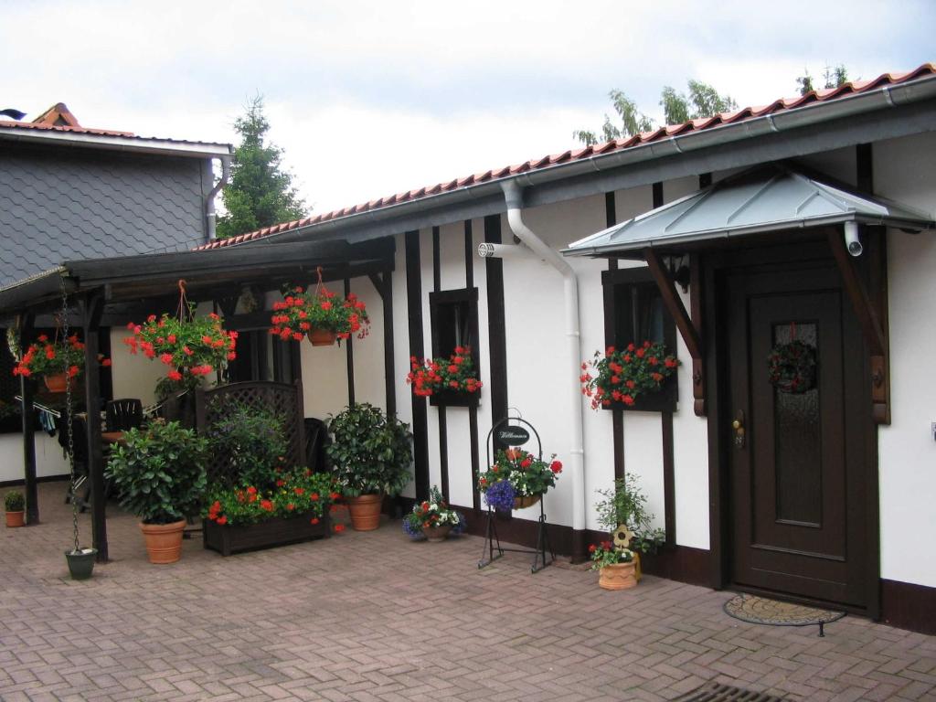 a house with potted plants and flowers on a patio at Ferienhaus Müller in Benneckenstein