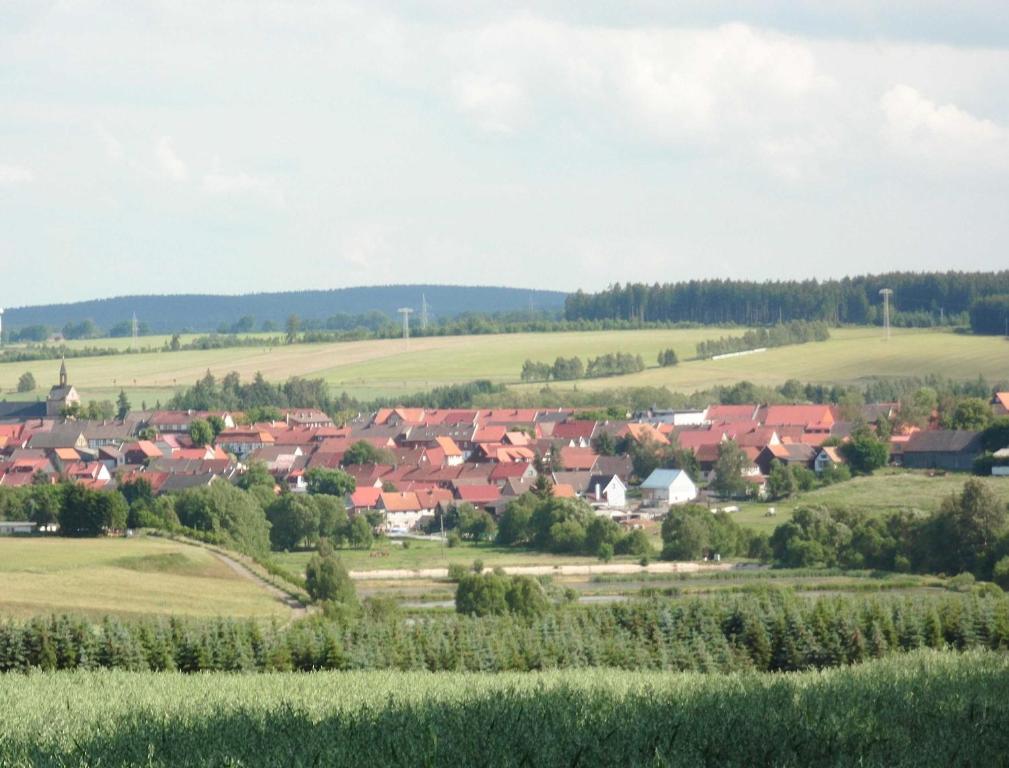 Příroda nedaleko apartmánu