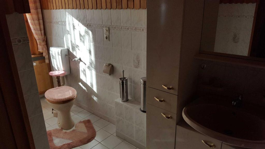 Koupelna v ubytování Harzhaus Sorge
