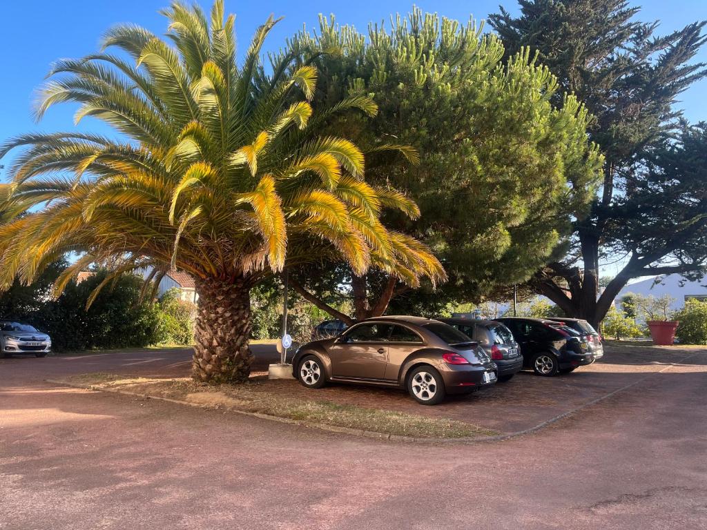 Fotografie z fotogalerie ubytování hotel l'échappée d'oléron v destinaci Saint-Georges-dʼOléron