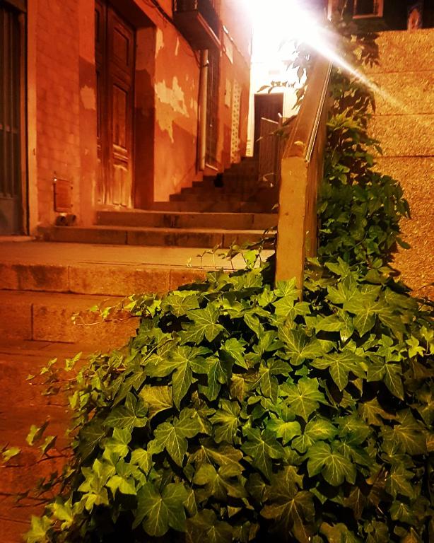 Fotografia z galérie ubytovania Casa Claddagh v destinácii Sax
