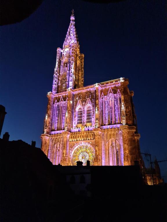 a building lit up with purple lights on it at Face à la cathédrale in Strasbourg