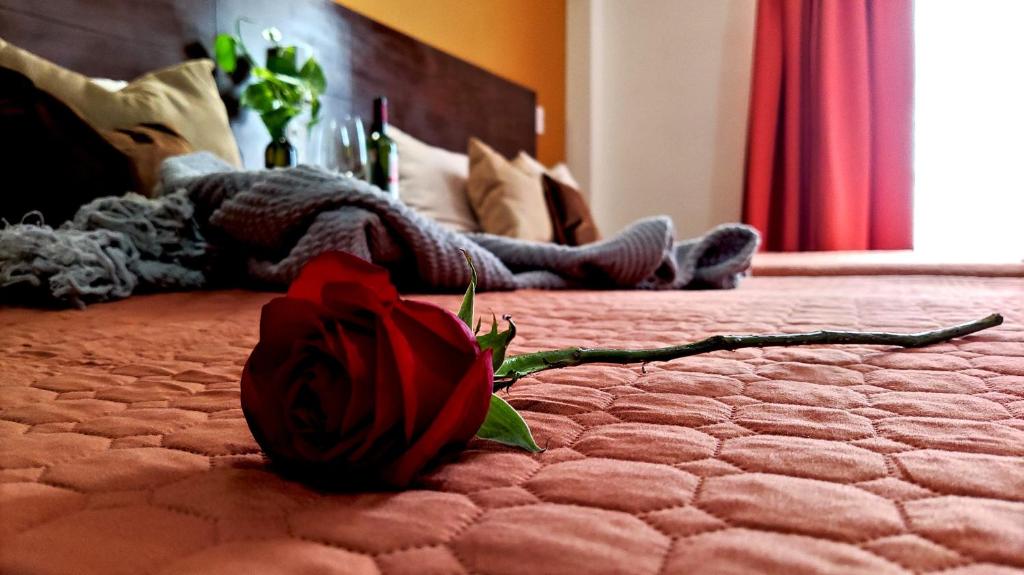 a red rose on a bed with a person laying down at Posada Del Carmen Aguascalientes in Aguascalientes