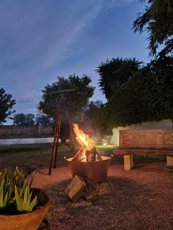 Fotografie z fotogalerie ubytování Eco Finca Sa Becadeta v destinaci Llucmajor