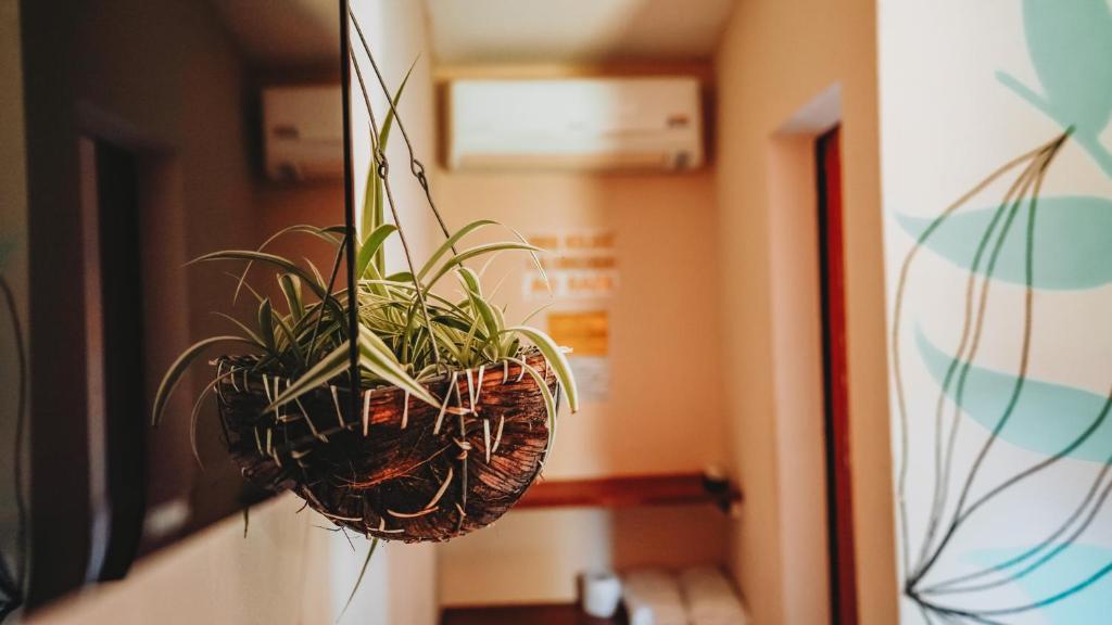 a potted plant hanging on a wall at Nirvana in Pipa