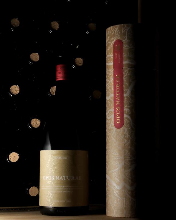 Dois Lagares House & Winery - 4