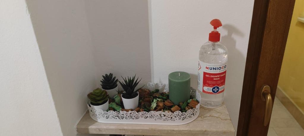 a bottle of water sitting on a shelf with plants at Casa Emily Verona in Verona