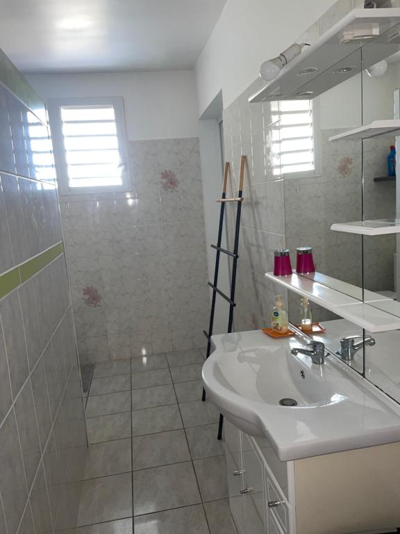 een witte badkamer met een wastafel en een douche bij Villa de L'anse - bas de villa in Vieux-Habitants