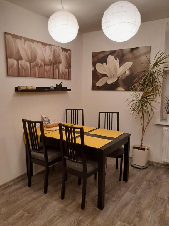 a dining room table with chairs and two potted plants at Apartment Riegerovka in Cheb