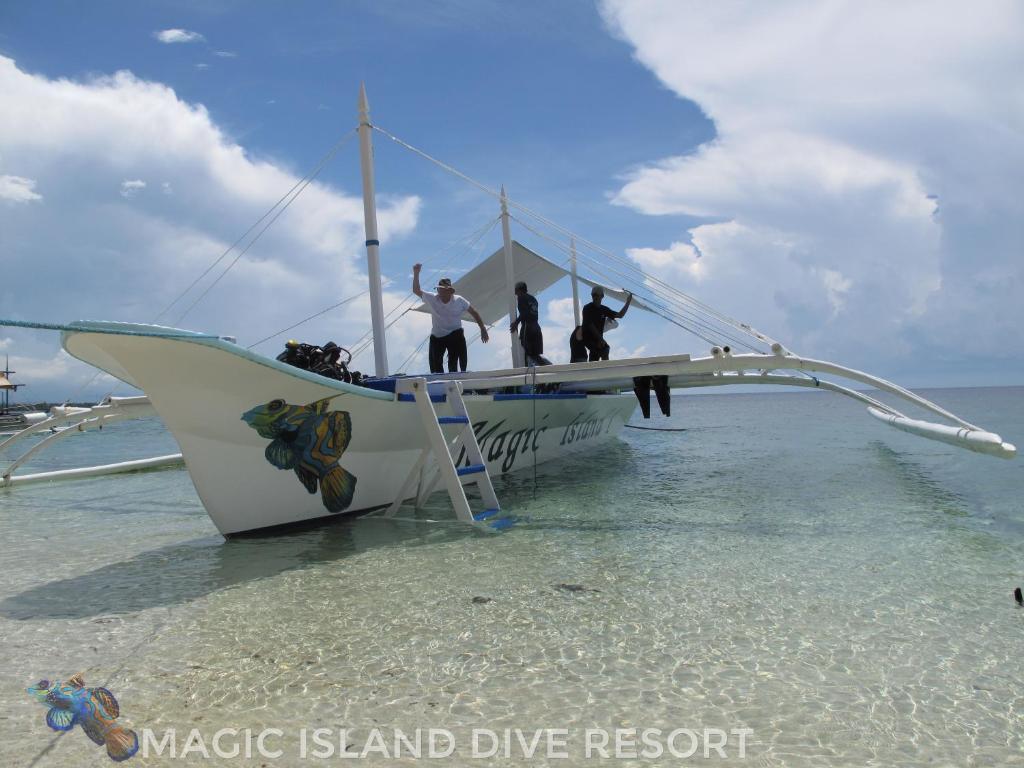Magic Island Dive Resort Moalboal Updated 22 Prices
