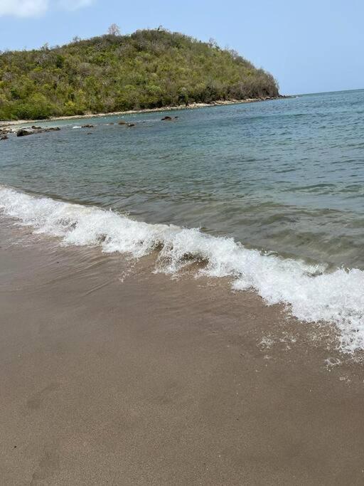 Paesaggio naturale nelle vicinanze della casa vacanze