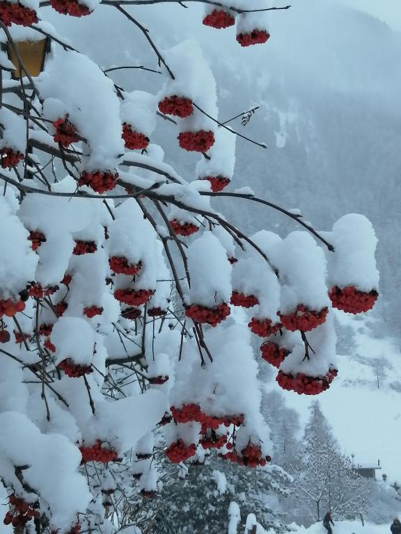 Gîte les 3 cols v zimě