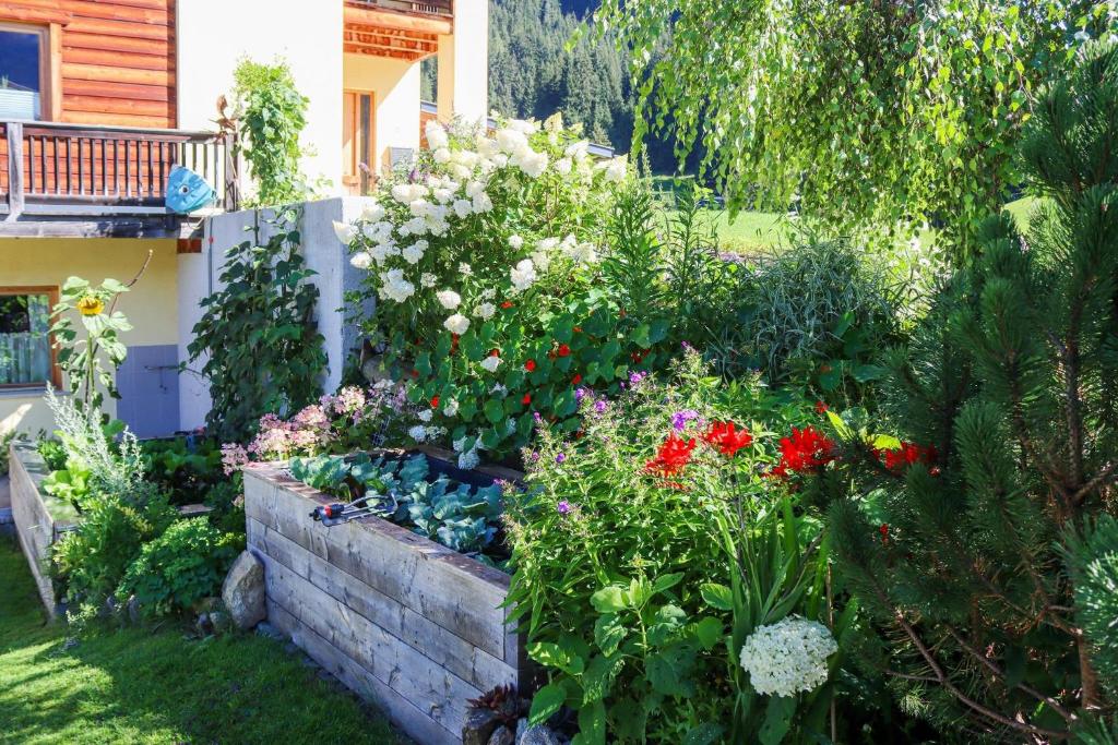 Zahrada ubytování Ferienwohnung Weitblick