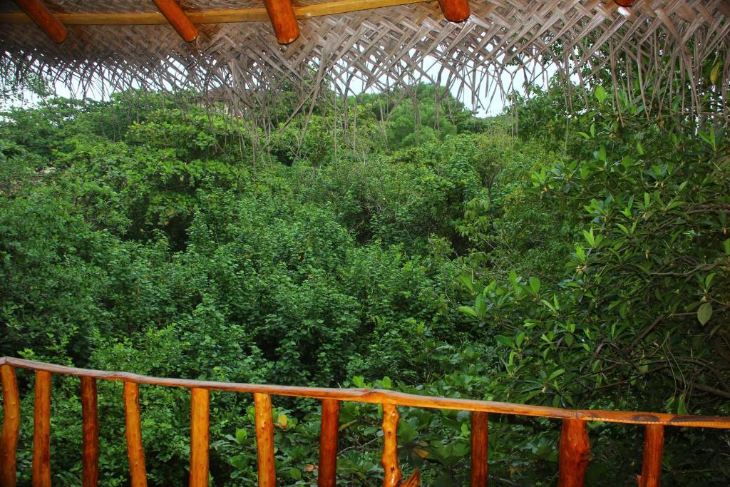 Zahrada ubytování Seasons Four Mini Jungle Cabana