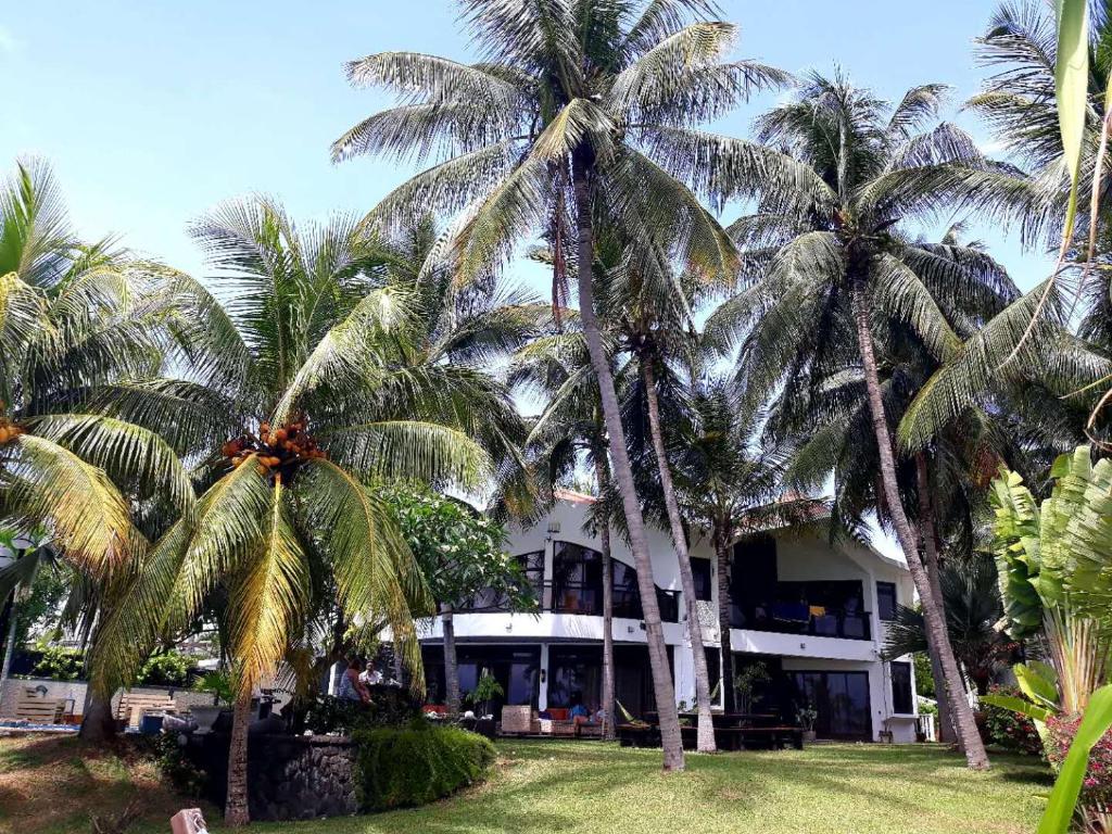 a building with palm trees in front of it at La Maison de la plage in Albion