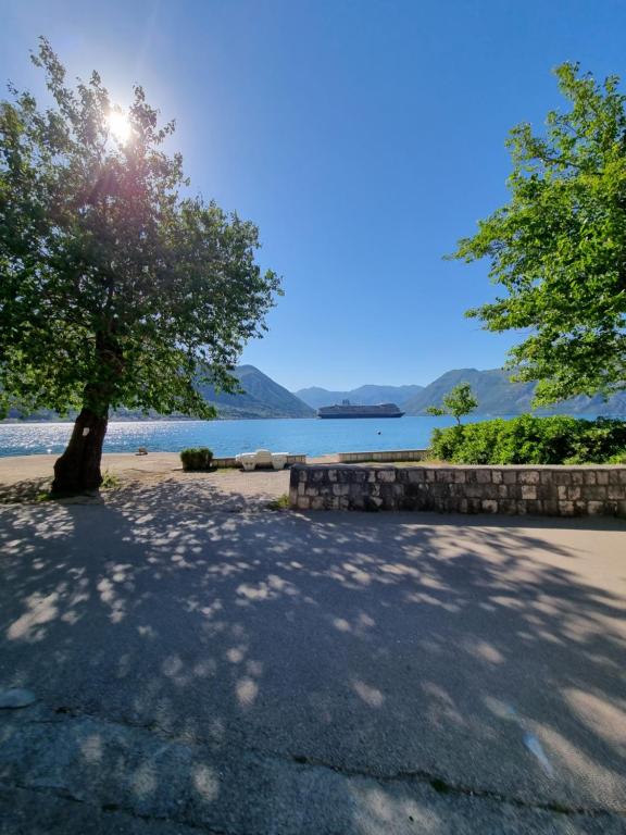 a tree on the beach with a lake in the background at Studio on the coast, with a view of the sunrise,free we-fi in Kotor