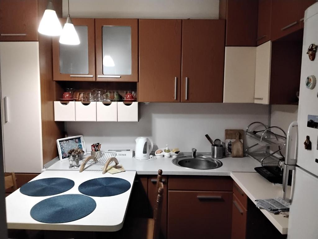 Kuchyň nebo kuchyňský kout v ubytování Fina Apartman