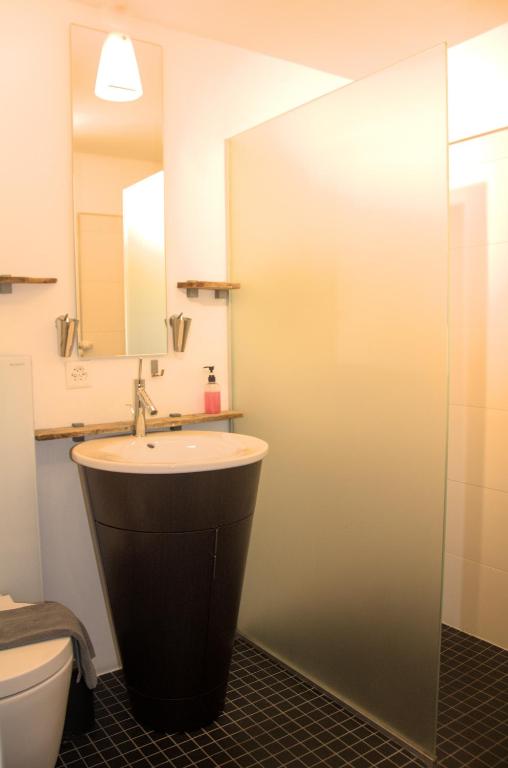 CAYA Bijou im Herzen von Zermatt - Resim 8