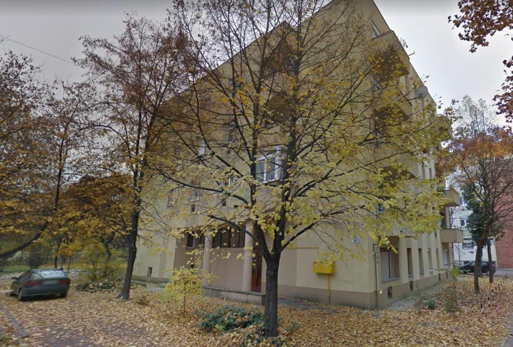 un bâtiment jaune avec un arbre devant lui dans l'établissement Diszkrét szállás, à Szekszárd