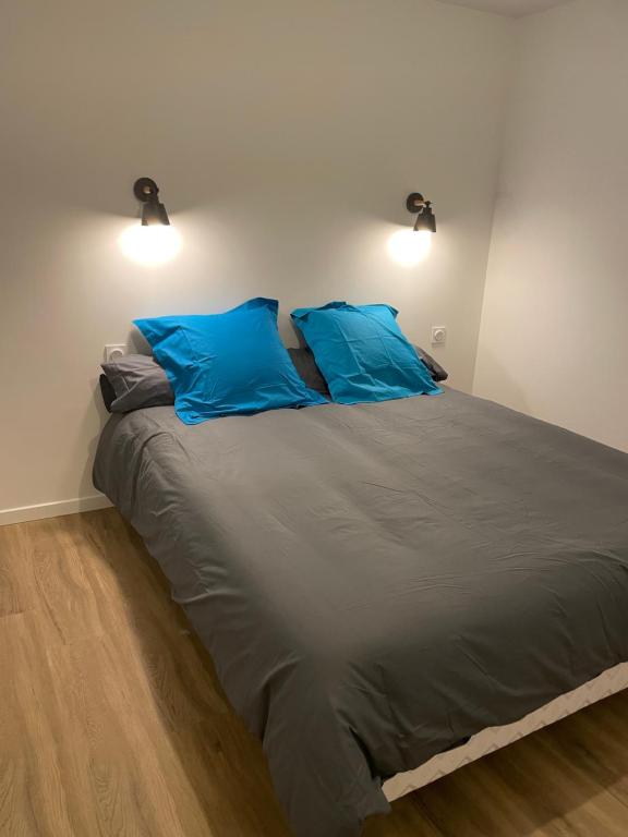 a large bed in a bedroom with two blue pillows at Résidence Pelloutier Appartement F in Vénissieux